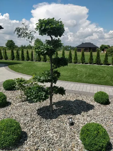 MOGEgarden | Usługi Ogrodnicze | Ogrodnik